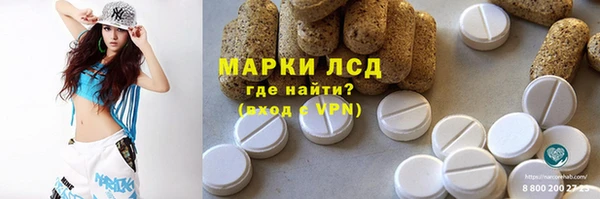 индика Алзамай
