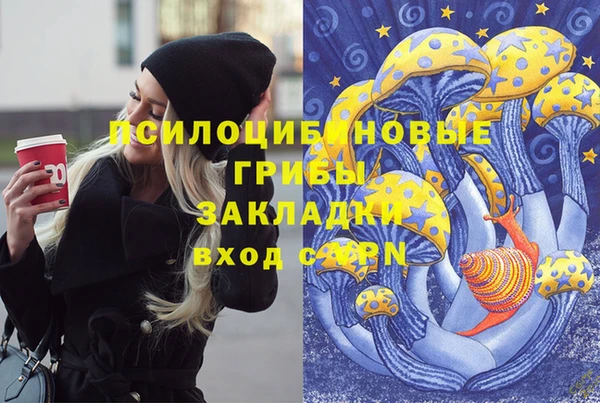 кокс Алексин