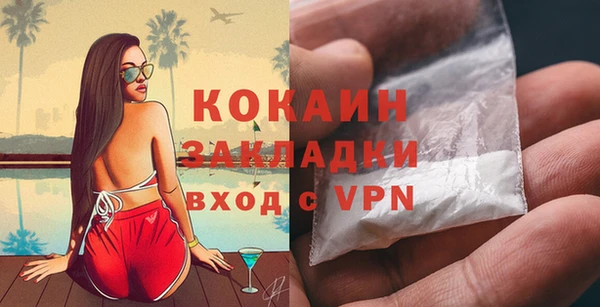 индика Алзамай