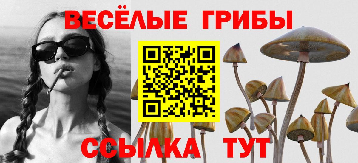 Псилоцибиновые грибы Psilocybine cubensis  Вход с VPN  Алексеевка 